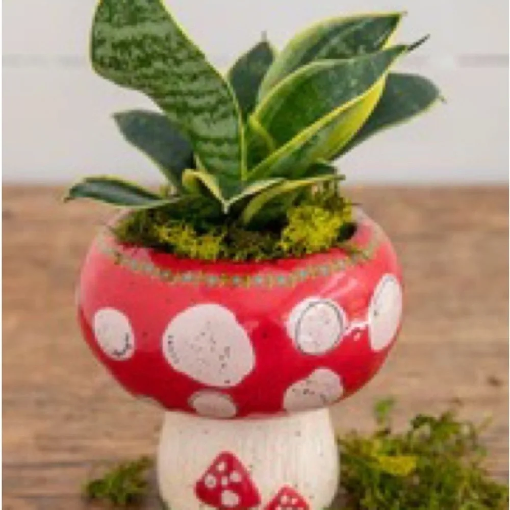 Mushroom Trinket Bowl Candle, Red/White, Scent: Neroli, NWT